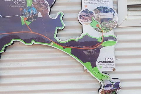 Phillip Island Penguin And Wildlife Tour - Accommodation Mt Buller 29