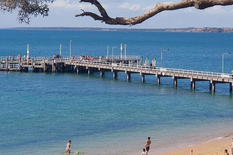 Phillip Island Penguin And Wildlife Tour - Accommodation Mt Buller 2