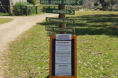 Phillip Island Penguin And Wildlife Tour - Accommodation Mt Buller 4