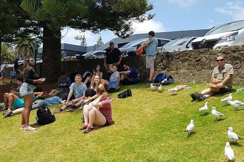 Phillip Island Penguin And Wildlife Tour - Accommodation Mt Buller 22