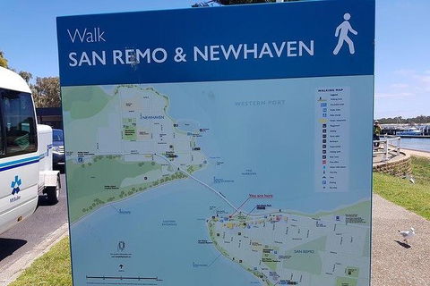 Phillip Island Penguin And Wildlife Tour - Accommodation Mt Buller 35