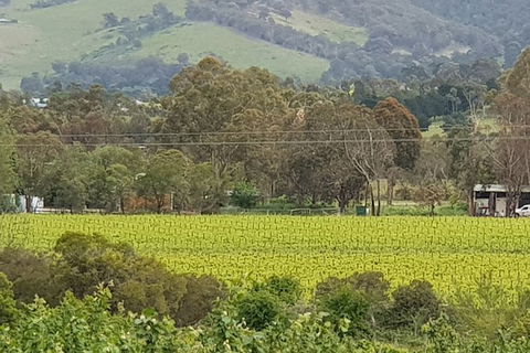 Day Tour Of Yarra Valley Puffing Billy And Rayners Orchard - Accommodation Mt Buller 44