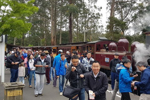 Day Tour Of Yarra Valley Puffing Billy And Rayners Orchard - Accommodation Mt Buller 3