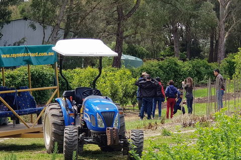 Day Tour Of Yarra Valley Puffing Billy And Rayners Orchard - Accommodation Mt Buller 10