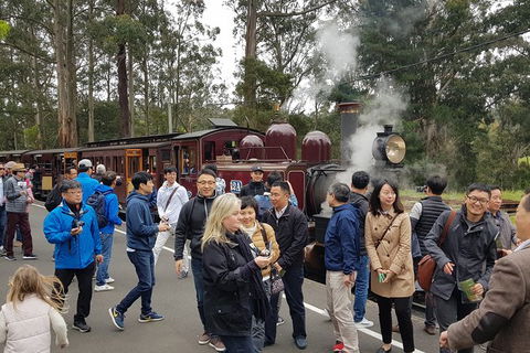 Day Tour Of Yarra Valley Puffing Billy And Rayners Orchard - Accommodation Mt Buller 18