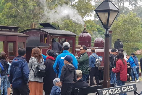 Day Tour Of Yarra Valley Puffing Billy And Rayners Orchard - Accommodation Mt Buller 40