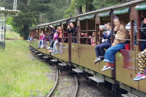 Day Tour Of Yarra Valley Puffing Billy And Rayners Orchard - Accommodation Mt Buller 13