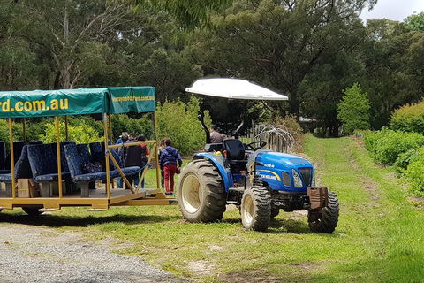 Day Tour Of Yarra Valley Puffing Billy And Rayners Orchard - Accommodation Mt Buller 25