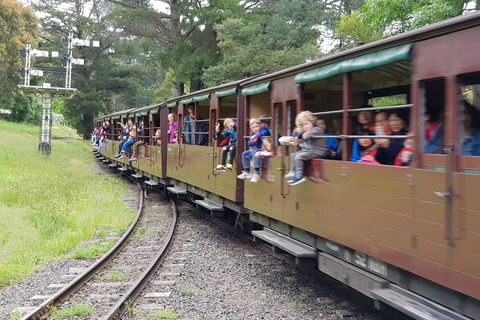 Day Tour Of Yarra Valley Puffing Billy And Rayners Orchard - Accommodation Mt Buller 24
