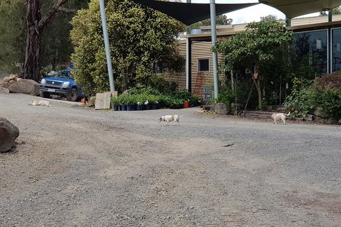 Day Tour Of Yarra Valley Puffing Billy And Rayners Orchard - Accommodation Mt Buller 26