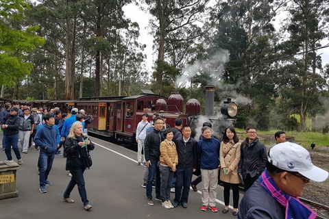 Day Tour Of Yarra Valley Puffing Billy And Rayners Orchard - Accommodation Mt Buller 9
