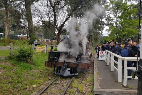 Day Tour Of Yarra Valley Puffing Billy And Rayners Orchard - Accommodation Mt Buller 43