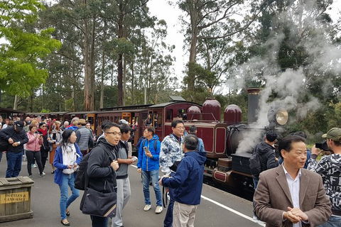 Day Tour Of Yarra Valley Puffing Billy And Rayners Orchard - Accommodation Mt Buller 12