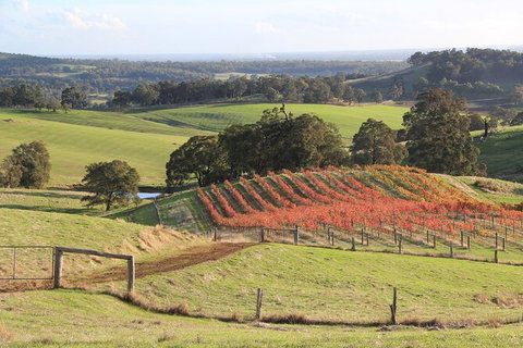 Ferguson Valley Full Day Tour - Accommodation Mt Buller 0