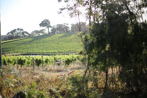 All Inclusive Surf Camp In Margaret River Region - Accommodation Mt Buller 3