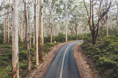 All Inclusive Surf Camp In Margaret River Region - Accommodation Mt Buller 2