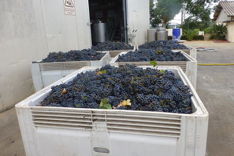 A Taste Of Margaret River Luxury Wine Tour - Accommodation Mt Buller 3