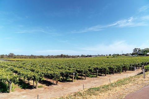 The Non-Touristy Swan Valley Private Day Trip & Wine Tastings - Accommodation Mt Buller 3