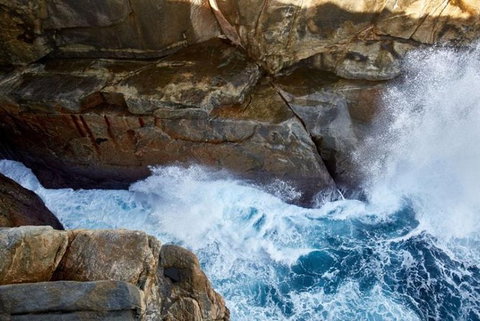 Discover Torndirrup National Park: The Gap & Natural Wonders Tour - Accommodation Mt buller 4