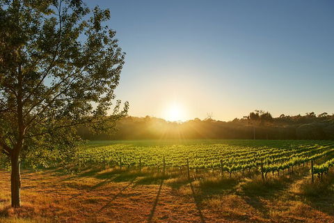 Private Barrel Hall Wine Tasting In The Margaret River Region - Accommodation Mt Buller 3