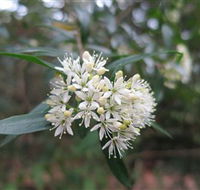 Booderee National Park - Accommodation Mt Buller