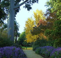 Albury Botanic Garden - Accommodation Mt Buller