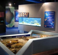 Marine and Freshwater Discovery Centre - Accommodation Mt Buller