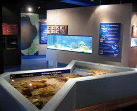 Marine And Freshwater Discovery Centre - Accommodation Mt Buller 0