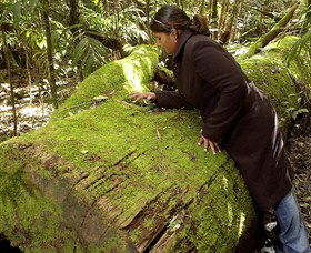  Accommodation Mt Buller