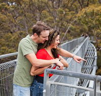 Valley of the Giants Tree Top Walk - Accommodation Mt Buller