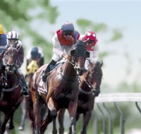 Colac Turf Club - Accommodation Mt Buller