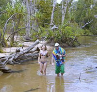 Tjuwaliyn / Douglas Hot Springs Park - Accommodation Mt Buller