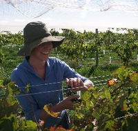 Kingsdale Wines - Accommodation Mt Buller