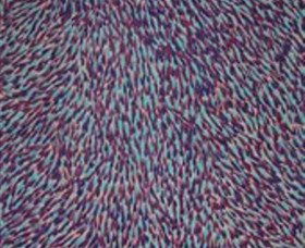 The Gate Gallery - Wollombi - Accommodation Mt Buller 0