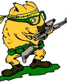 Old Bar NSW Accommodation Mt Buller