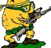 Skirmish Down Under - Accommodation Mt Buller