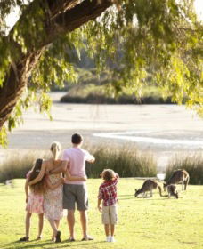 Yanchep National Park - Bushwalking Trails - Accommodation Mt Buller 0