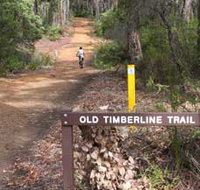 Old Timberline and Sidings Rail Trails - Accommodation Mt Buller
