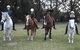 Valhalla Horse Riding - thumb 1