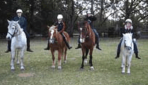 Valhalla Horse Riding - Accommodation Mt Buller 1