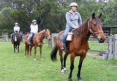 Valhalla Horse Riding - Accommodation Mt Buller 2