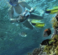 Calypso Reef Charters - Accommodation Mt Buller