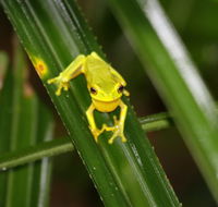 Daintree River Cruise Centre - Accommodation Mt Buller