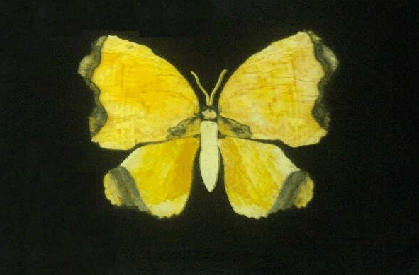 Book Home Hill QLD Attractions Accommodation Mt Buller Accommodation Mt Buller