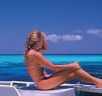 Mike Ball Dive Expeditions - Accommodation Mt Buller