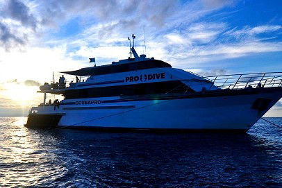 Pro Dive Cairns - Accommodation Mt Buller 1