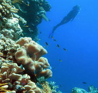 Reef Magic Cruises - Accommodation Mt Buller