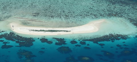 Seastar Cruises - Accommodation Mt Buller 3