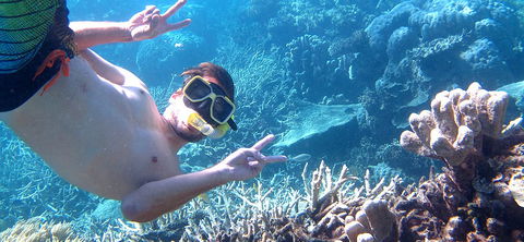 Seastar Cruises - Accommodation Mt Buller 4