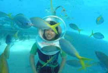 Seawalker At Green Island - Accommodation Mt Buller 1